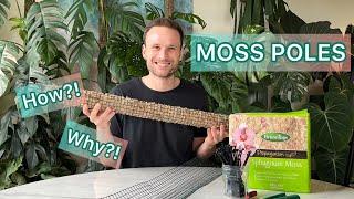 Moss Poles - Why? How? #tutorial
