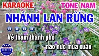 Karaoke Nhánh Lan Rừng | Nhạc Sống Beat Nam | Karaoke Tuấn Cò