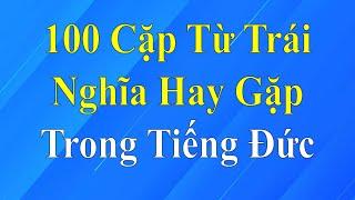 100 Cặp Từ Trái Nghĩa Hay Gặp Trong Tiếng Đức