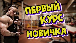 Первый курс новичка. С чего начать? Мой личный опыт