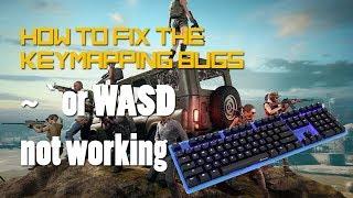 How to fix ~ and wasd keymapping on Tencent Gaming Buddy