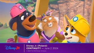 Disney Jr. (Poland) continuity | June 2, 2024 • Disney Jr. reklama | 2 czerwca 2024 r