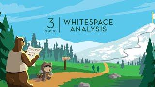 3 Steps to Whitespace Analysis