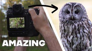 Owl photography in the forest - Close encounter