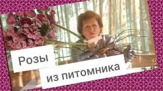 #Розы. Посылка из питомника.Розовое танго.