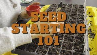 Seed starting for beginners A to Z- Turning our church project into our new homestead Church to home