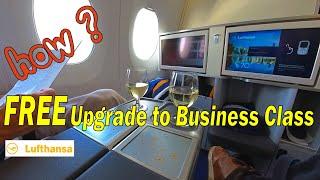 FREE Upgrade to Business Class! HOW? | Lufthansa A350-900 Business Class Review, Munich to Vancouver