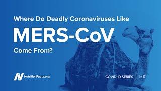 Where Do Deadly Coronaviruses Like MERS CoV Come From?