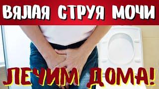 МОЧЕВОЙ ПУЗЫРЬ НЕ БОЛИТ! ВЯЛАЯ СТРУЯ МОЧИ. Простое лечение ДОМА!