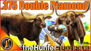 Double Diamond Banteng with the NEW 375! | theHunter Call of the Wild