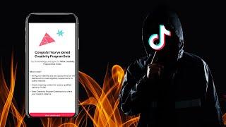 How to Get into TikTok Creativity Rewards Program with 0 Followers | TikTok CRP