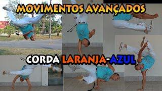 10 Movimentos e golpes Avançados da Corda Laranja-Azul (Mestre Koioty Capoeira Herança de Zumbi)