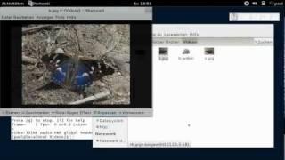 Videos spiegeln - ffmpeg - Videofilter hflip und vflip