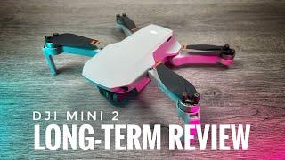 DJI Mini 2 Long-Term Review | Still A Good Buy In 2021?