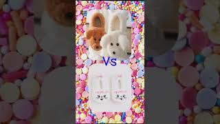 Puppy  vs bunny #disneyprincess #ytshort #disneyworld #puppy  #littledreams #bunny  #princess