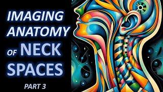 Imaging Anatomy of Neck Spaces (part 3)