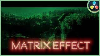 How To Make The Matrix Effect | DaVinci Resolve 17 | FREE Plugin