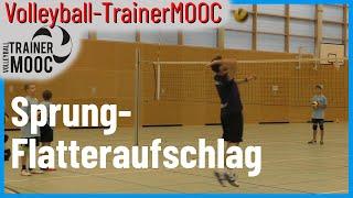 Anlauf und Absprung für Sprung-Flatteraufschlag - Manuel Hartmann - Volleyball-TrainerMOOC - 7/11