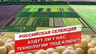 Как создают сорта и технологии выращивания? | Чек-лист по сое | Подкормка для сои и гороха