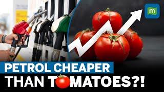 Tomato Price Hike: How A Virus In Bengaluru’s Backyard Sent Tomato Prices Soaring | Explained