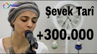 Helbest Arî - Şevek Tarî (Akustik)