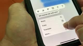 How to translate a text message in iPhone 12 iOS15