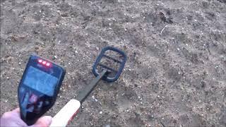 Rare treasures found on Chalkwell beach, metal detector