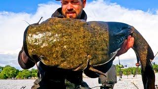 Daytime MONSTER Flathead Catfish! (Biggest of the year)