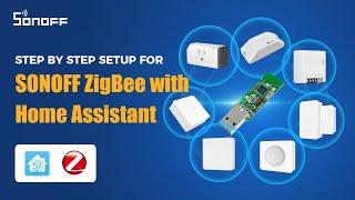 How to set up ZigBee with Home Assistant?