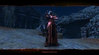 Neverwinter - Rothé Valley, The Night Raid (boss Malaggath the Slaver Lord