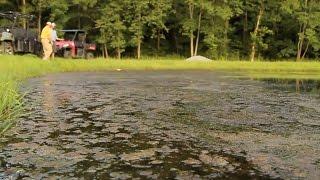 Controlling Weeds in Your Pond with Southeastern Pond Management