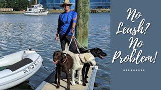 Hampton, Virginia || Sailing with Labmaraner Dogs || No Leash?  No Problem!