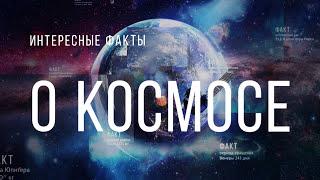 ПЕРВЫЕ ЖИВОТНЫЕ В КОСМОСЕ. Факты о космосе.