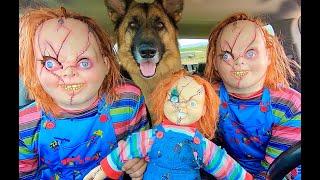 Chucky Surprises T-rex & Puppy with Car Ride Chase!