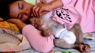 Monkey Baby Kako Sleep With Mom Very Lovely And So Much Warm