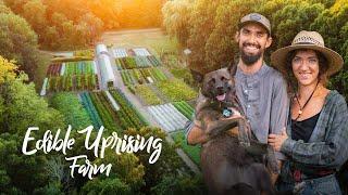 Urban NO TILL Farm Growing 200+ Heirloom Varieties on 1 Acre