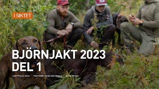 Björnjakt 2023 Del 1