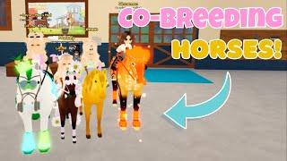 Co-Breeding Horses With Friends! | Wild Horse Islands