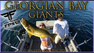 GIANT GEORGIAN BAY WALLEYE from 100 feet deep! Fox Fishing 4K August 2020, ULTRA HD. **MUST WATCH**