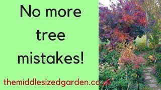 How to choose your perfect garden tree