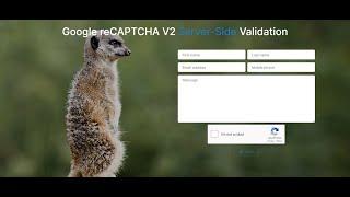 Google reCAPTCHA v2 - Server and Client Side Validations with Plain PHP and Vanilla JavaScript