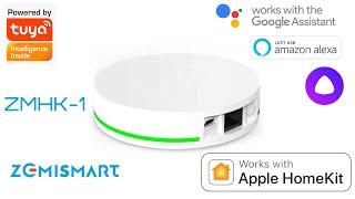 Zemismart ZMHK-1. Первый шлюз Tuya Zigbee 3.0 с поддержкой голосового ассистента Apple Homekit.