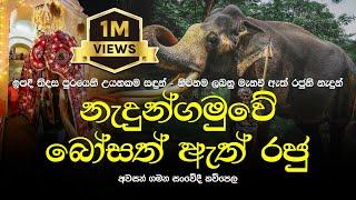 නැදුන්ගමුවේ බෝසත් ඇත් රජු සංවේදී කවි පෙළ | Nadungamuwe Raja Sanwedi Kavi | MASSANNE VIJITHA THERO