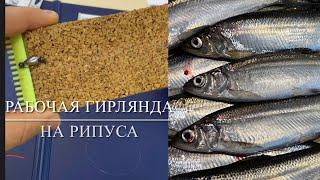 РАБОЧАЯ гирлянда на рипуса и корюшку! Тонкости, нюансы и лайфхаки!