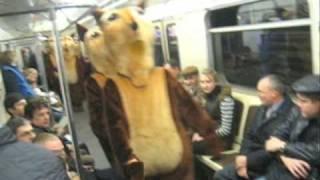 В вагонах метро белок срубает от рекламы Сникерса!
