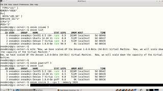 OpenNebula Frontend   Step 22  Resizing Devuan 1 0 0 Beta 64 Bit Virtual Machine Scaling UP and Scal