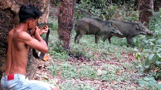 BERBURU ROBOHNYA 2 EKOR BABI HUTAN JUMBO PEMAKAN DURIAN‼️deadly struggle in the middle of the forest