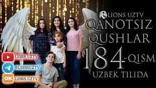 QANOTSIZ QUSHLAR 184 QISM TURK SERIALI UZBEK TILIDA | КАНОТСИЗ КУШЛАР 184 КИСМ УЗБЕК ТИЛИДА