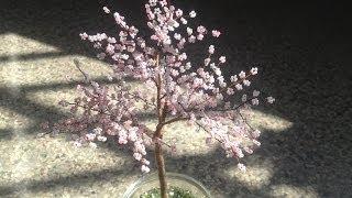 SAKURA. Die japanische Kirschblüte. TUTORIAL. Bäume aus Perlen. Anna's Perlen