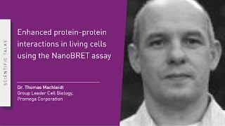 Enhanced Protein-Protein Interactions in Living Cells Using the NanoBRET Ass